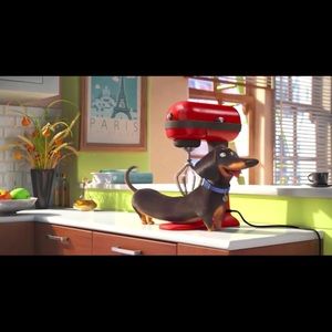 Meet your Posher, Cindy